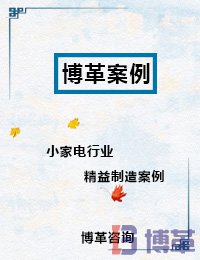 小家電行業精益制造案例 小家電行業精益制造案例